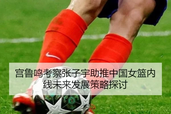 宫鲁鸣考察张子宇助推中国女篮内线未来发展策略探讨