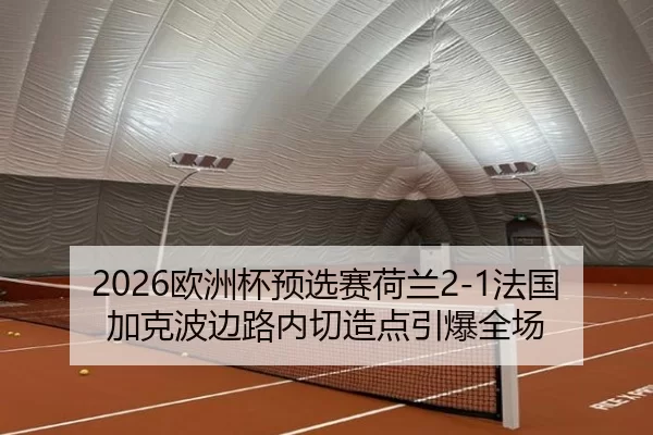 2026欧洲杯预选赛荷兰2-1法国 加克波边路内切造点引爆全场